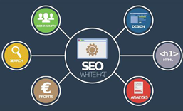 Social Media Promotion for Foreign Trade Sites: LinkedIn & Facebook Tips