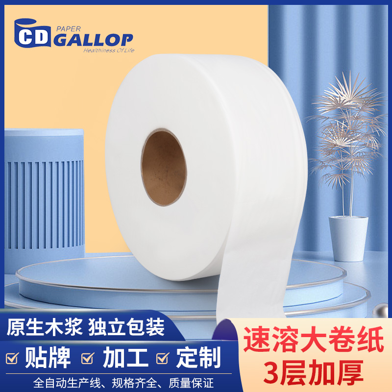 Instant large roll paper