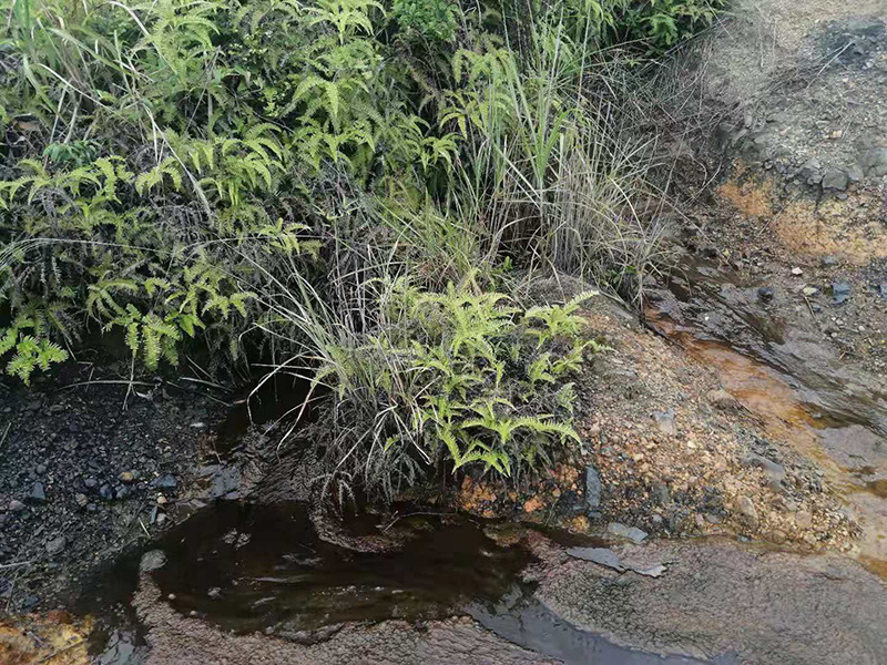 Groundwater treatment project