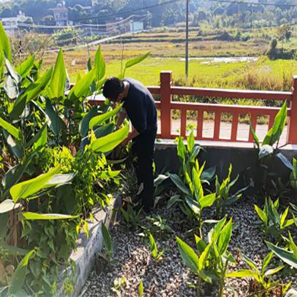 Rural Sewage Operation and Maintenance Project in Longchuan County, Guangdong Province